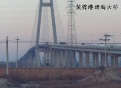 国产麻豆91在线播放案例